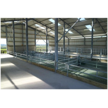 China prefab steel structure automatic feeder pig farm construction house building